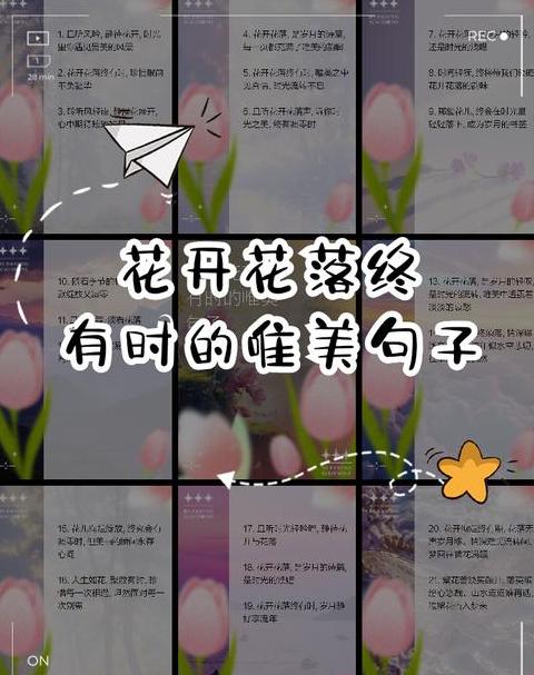 蔷薇花语：自然之美，香气悠长