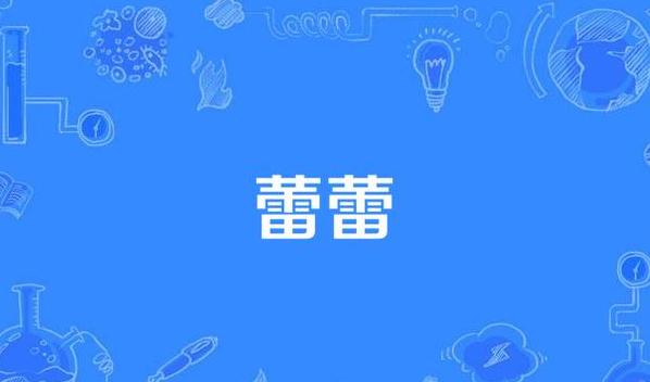 蕾字读音之谜：蕾丝为何读léi？