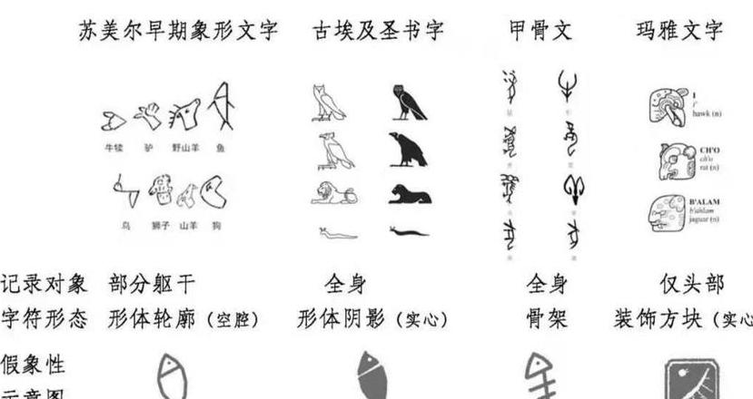 灿的甲骨文解释是什么
