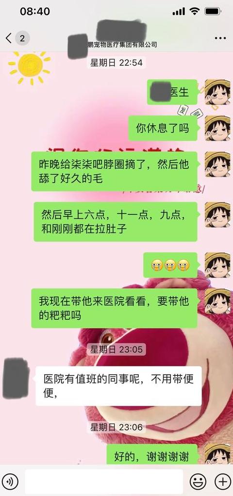 猫咪软便拉稀：识别症状与家庭处理方法