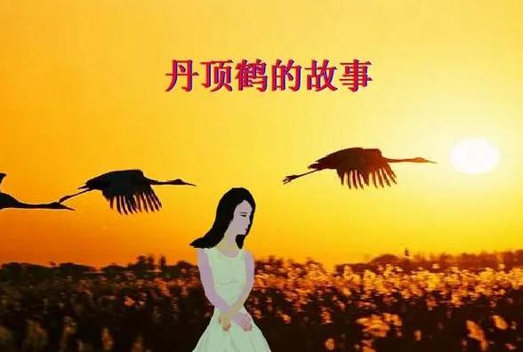 一个真实的故事完整歌词解析与故事背景