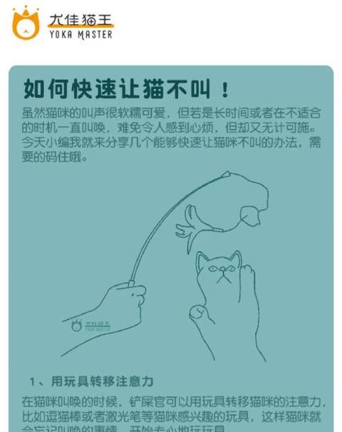 猫咪夜间叫声扰民？4招轻松解决猫咪夜间叫闹问题