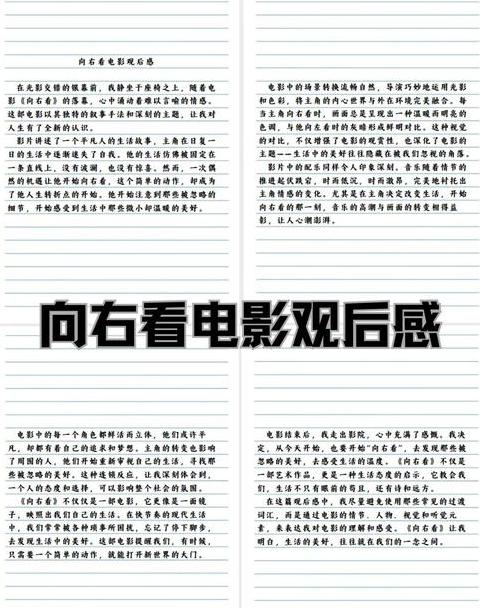 暴力小姐：三代家庭悲剧与社会现实解析
